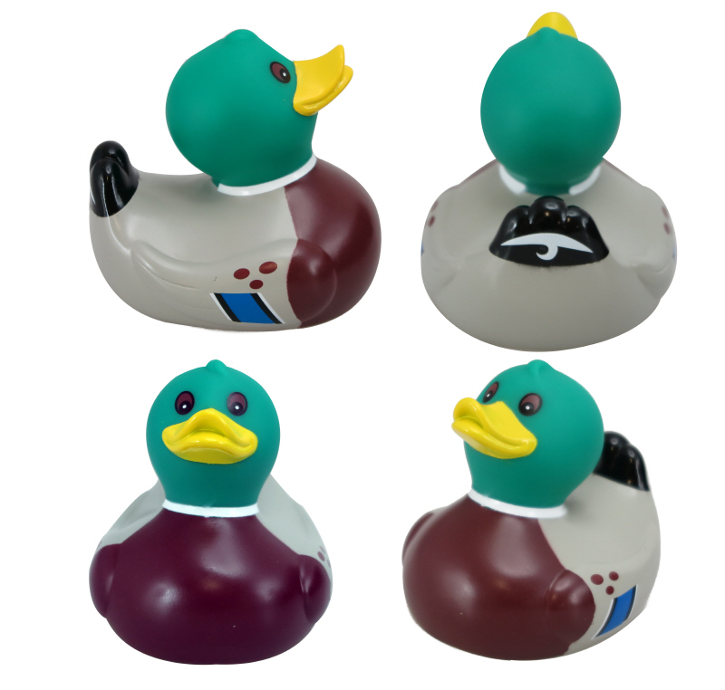 mallard rubber duck